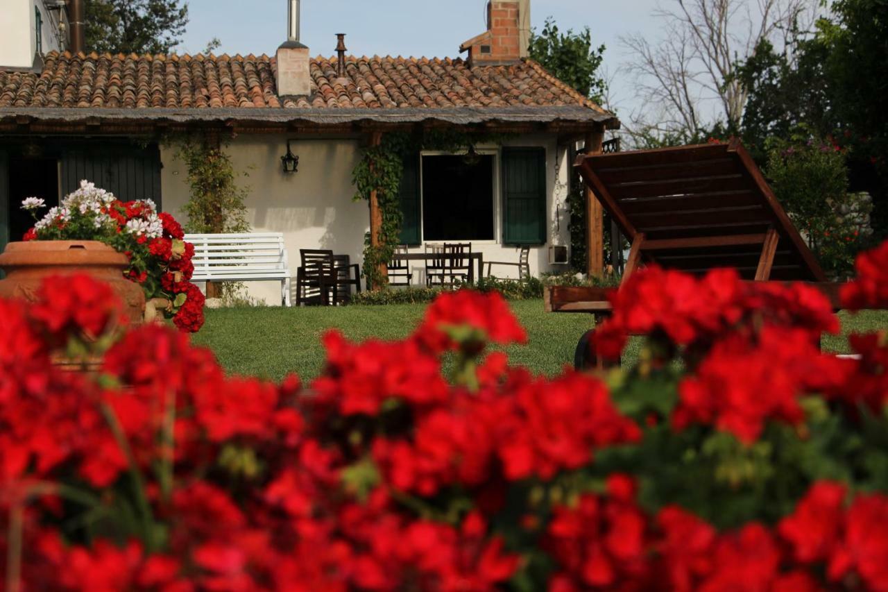 Willa Casa S.Paolo Rimini Zewnętrze zdjęcie